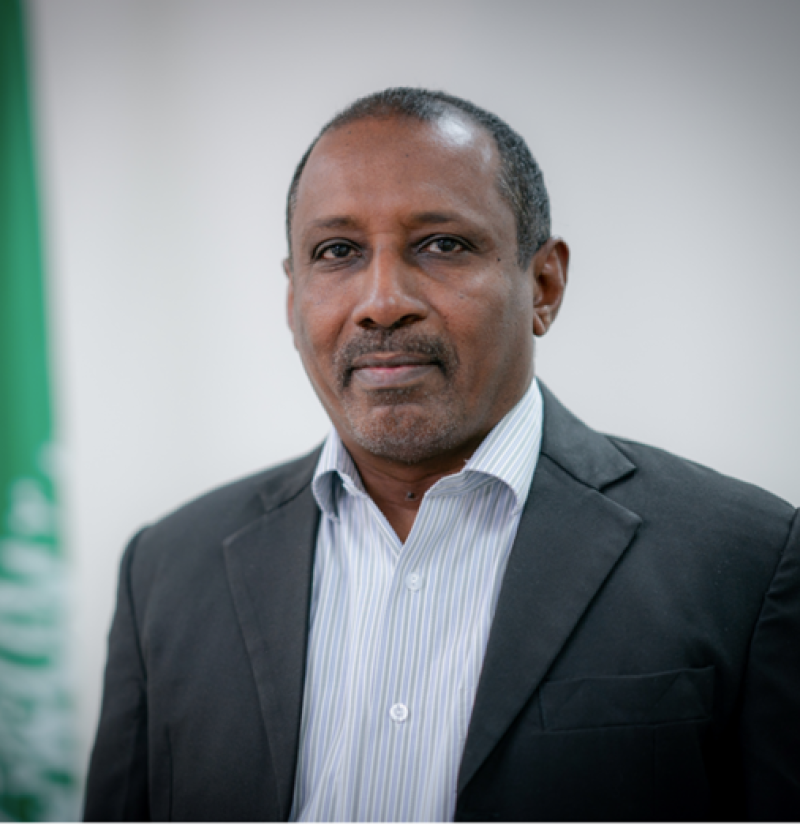 معاوية محمد